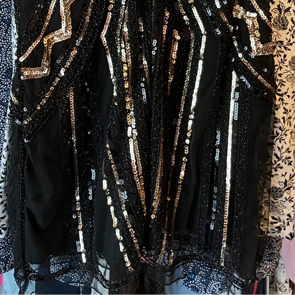 Women’s 1920s Gatsby Flapper Sequin Dress - Picture 7 of 8